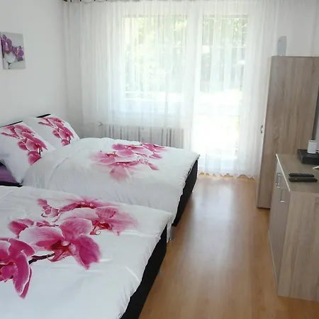 Fialka Olomouc