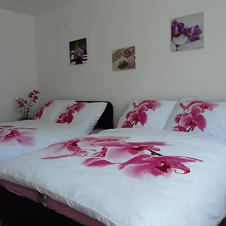 Apartment Fialka Olomouc